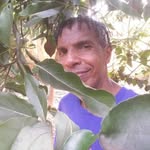 Vicente Pires Vicente Pires - @vicentepires.vicentepires - Instagram