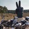 Vicente Sarrias Quesada - @vicente.sarrias.q - TikTok