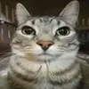 Vicente - @vicente_real - TikTok