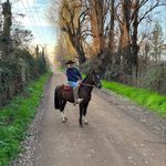 Vicente Rubio🤠 - @vicenterubio_ - Instagram