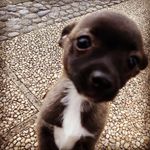 Vicente Rubio - @vicente.rubio.96930 - Instagram