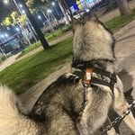 𝓥𝓲𝓬𝓮𝓷𝓽𝓮 𝓢𝓸𝓽𝓮𝓵𝓸 𝓢𝓪𝓪𝓿𝓮𝓭𝓻𝓪 - @xino_ss1 - Instagram