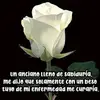 Vicente Valle - @vicente.valle89 - TikTok