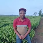 Vick-davis Kiarie - Facebook