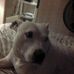 Vickey Allen - Facebook