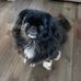 Vickie Asher - Facebook