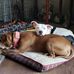 Vickie Babbitt - Facebook