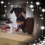 Kay Baggett - @vickiebaggett3268 - Instagram