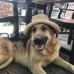 Vicki Baird - @vicki.baird.71 - Instagram