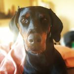Vicki Barr - @mumstaxiof3 - Instagram