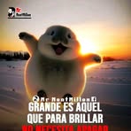 Vicki Barrios - Facebook