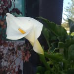 Vicki Barrera - @vicki.barrera.944023 - Instagram