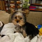 Vicki Barron - @daisy11252023 - Instagram