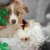 Vickie Bartley - Facebook
