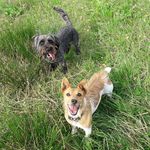Vicki Barton - @vicki.barton.714 - Instagram