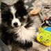 Vicki Bessinger-Japha - Facebook