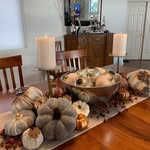 Vicki Bauer - @vickibauer600 - Instagram