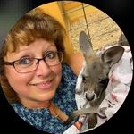Vicki Franke Baumgartner - @victoria_joe_01 - Instagram