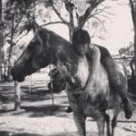 Vicki Beard - @dixie_chick2010 - Instagram
