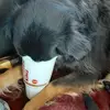 Vicki Beard - @vicki.beard3 - TikTok