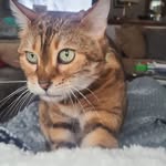 Vicki Becker - @vickibec57 - Instagram