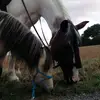 vicki.becker - @vicki.becker - TikTok