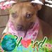 Vicki Bedsole - Facebook