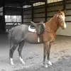 Vicki Bledsoe545 - @vickibledsoe - TikTok