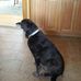 Vicki Behm - Facebook