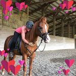 Vicki Berlin - @pwronature - Instagram