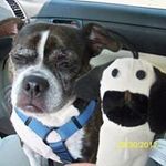 Vicki Bernard - @bb32ny - Instagram