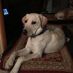 Vicki-Bernard Sparks - @vickibernardsparks - Instagram