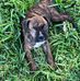 Vikki Bledsoe - Facebook