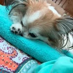 Vicki Blizzard - @skipdiego - Instagram