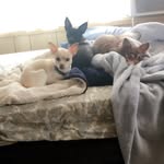 Vicki Born - @vickisbabygirlsss - Instagram