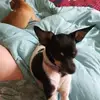 Earbobs - @vickibox3 - TikTok