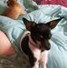 Vicki Box - Facebook