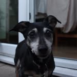 Vicki Boxall - @vicki.boxall - Instagram