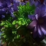 Vicki boyer - @vickiboyer58 - Instagram