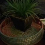 Vicki Brady - @vickibrady49 - Instagram