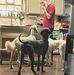 Vickie Brady - Facebook