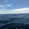 Vicki Emig Bricker - @vicki.emig.bricke - TikTok
