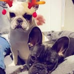 Vicki Briggs - Facebook