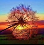 Vicki Briggs - Facebook