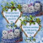 Vicki Briggs Kropf - @vladybug55 - Instagram