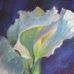 Vicki Brink Fine Art - Facebook