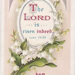 Vicki Browning Scherer - @myoldloghome - Instagram