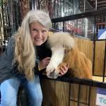 vicki bruce - @vicgroomer1 - Instagram