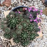 Vicki Bruce - @vic100663 - Instagram