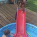 Vicki Bryson - Facebook